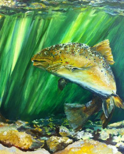 Rainbow Trout. Oil on Canvas