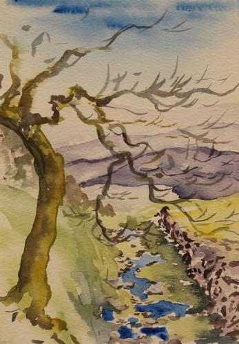 Welsh Brook Sketch. Watercolour. 21 x 15cm