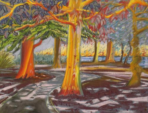 South Lake Woodley. Chalk Pastel. 40 x 30cm